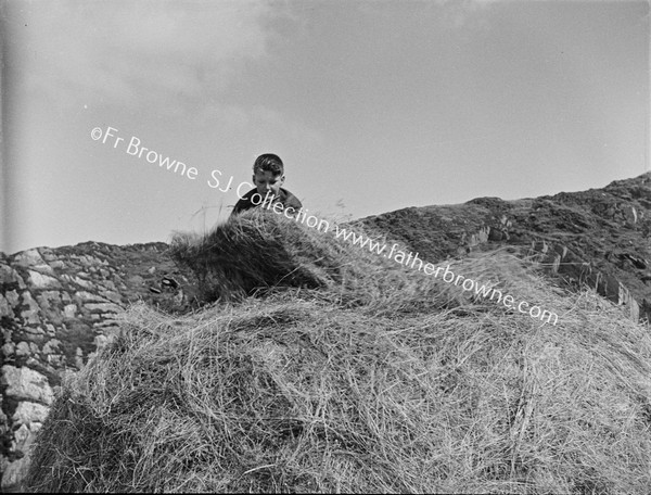 HAYMAKING